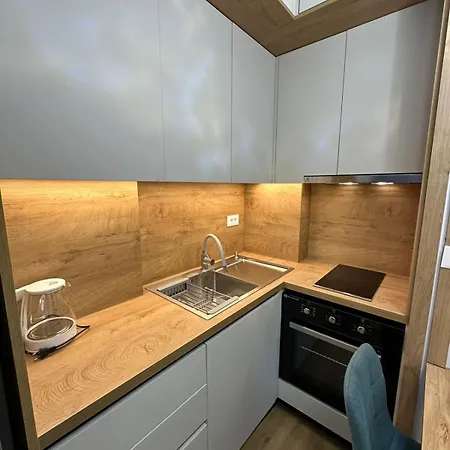 Apartment Blin Underground Parking Available