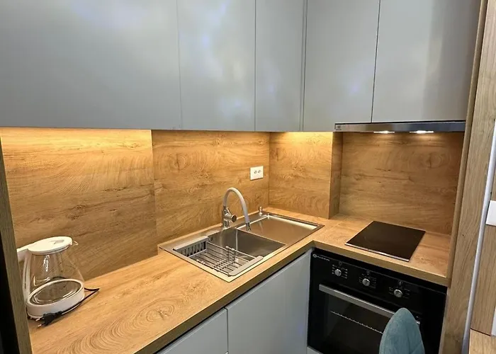 Apartment Blin Underground Parking Available